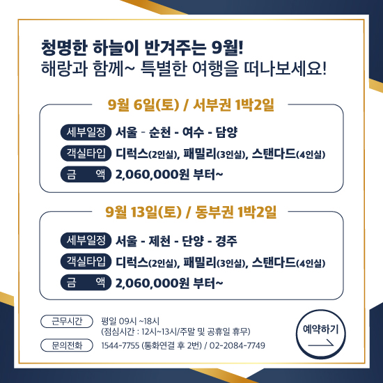 팝업